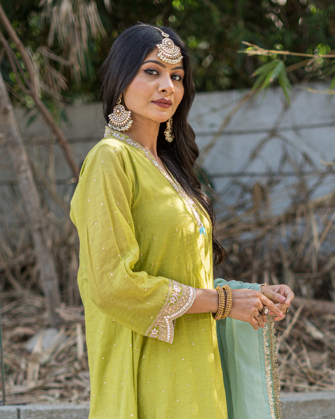 Krishna Mul Chanderi Dress
