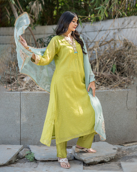 Krishna Mul Chanderi Dress