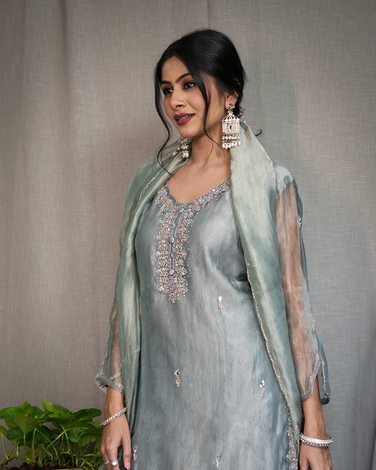 Sagini Sharara Dress