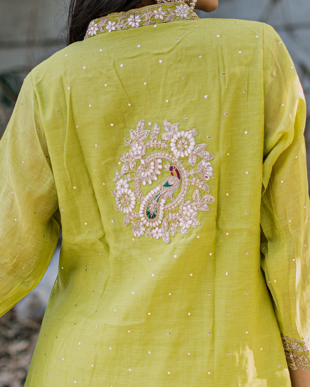 Krishna Mul Chanderi Dress