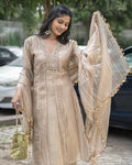 Pari Tissue Dress