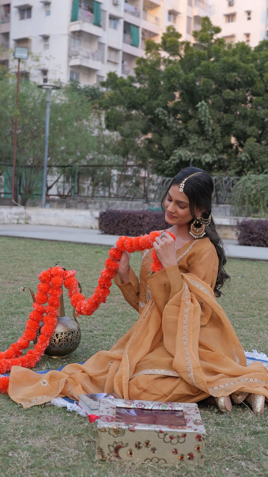 "Meher" tissue silk farshi suit